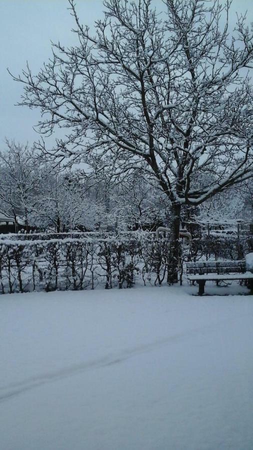 b&b de Vlinder Hardenberg Eksteriør billede