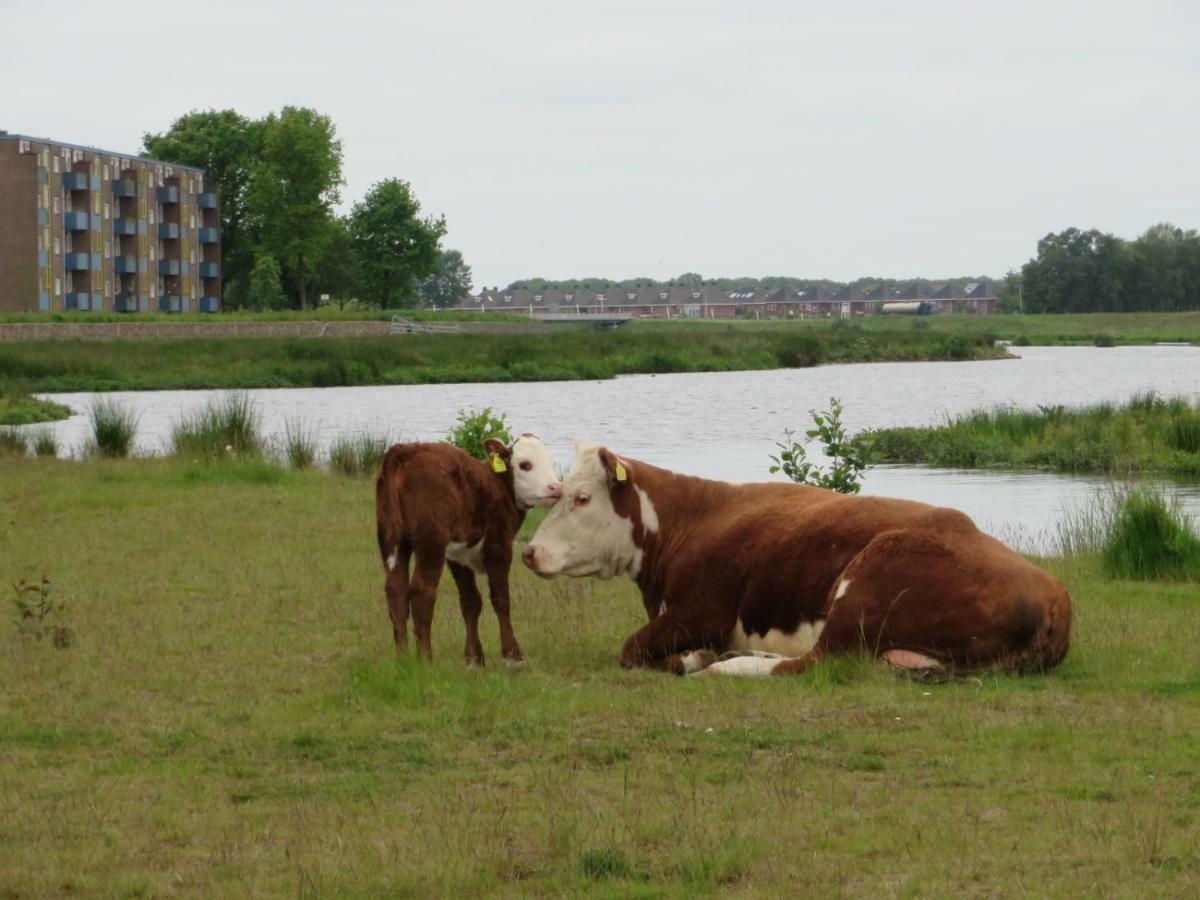b&b de Vlinder Hardenberg Eksteriør billede